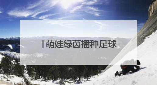 萌娃绿茵播种足球梦——LHK福宝之星第三届幼儿足球嘉年华精彩绽放