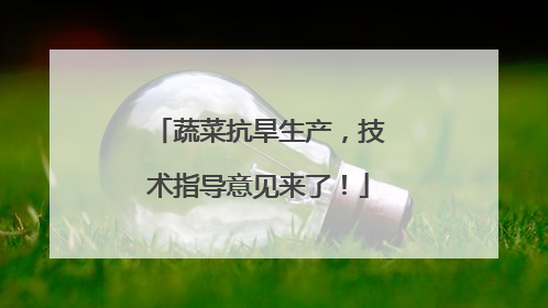 蔬菜抗旱生产，技术指导意见来了！
