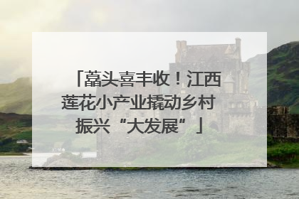 藠头喜丰收！江西莲花小产业撬动乡村振兴“大发展”