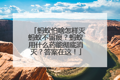 蚂蚁怕啥怎样灭蚂蚁不留痕？蚂蚁用什么药能彻底消灭？答案在这！