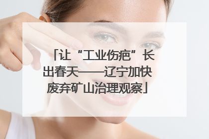 让“工业伤疤”长出春天——辽宁加快废弃矿山治理观察
