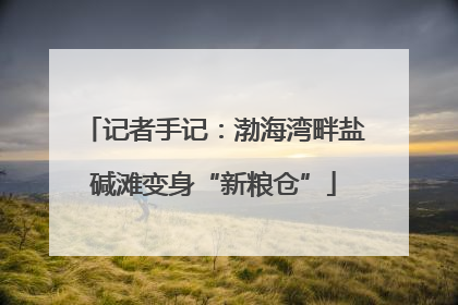 记者手记：渤海湾畔盐碱滩变身“新粮仓”