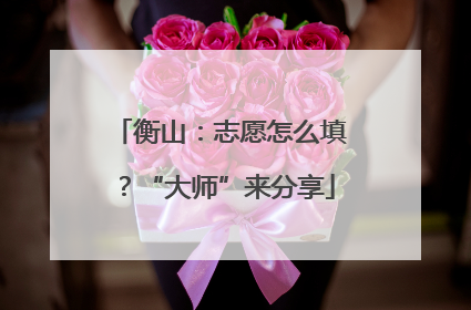 衡山：志愿怎么填？“大师”来分享