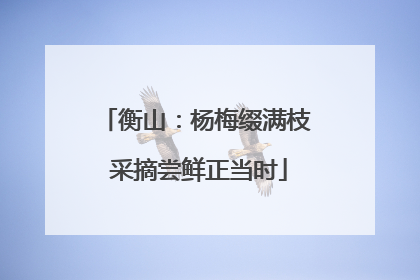 衡山：杨梅缀满枝 采摘尝鲜正当时