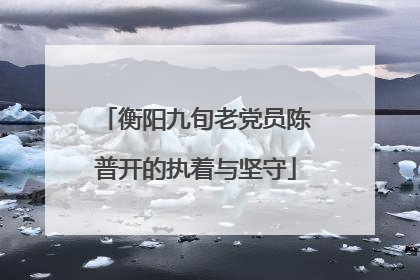 衡阳九旬老党员陈普开的执着与坚守