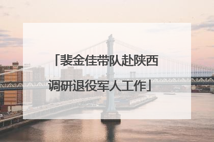 裴金佳带队赴陕西调研退役军人工作