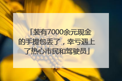 装有7000余元现金的手提包丢了，幸亏遇上了热心市民和驾驶员