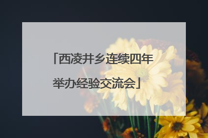 西凌井乡连续四年举办经验交流会