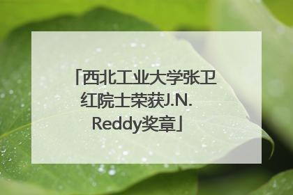 西北工业大学张卫红院士荣获J.N.Reddy奖章