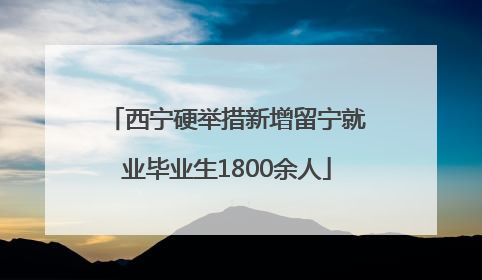 西宁硬举措新增留宁就业毕业生1800余人