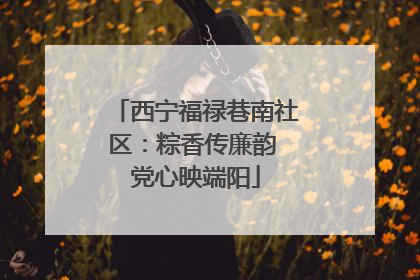 西宁福禄巷南社区：粽香传廉韵 党心映端阳