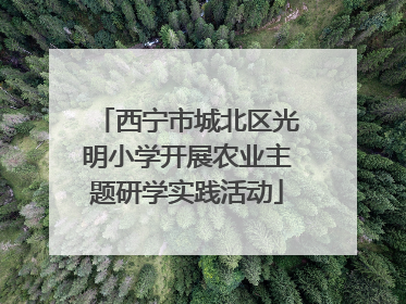 西宁市城北区光明小学开展农业主题研学实践活动