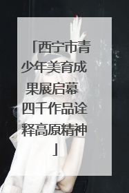 西宁市青少年美育成果展启幕 四千作品诠释高原精神