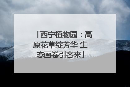 西宁植物园：高原花草绽芳华 生态画卷引客来