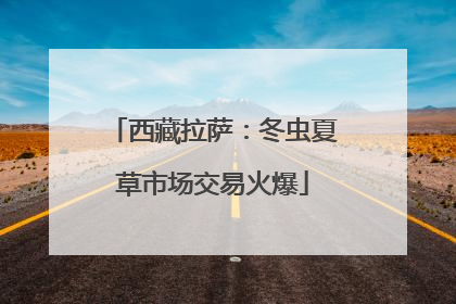 西藏拉萨：冬虫夏草市场交易火爆