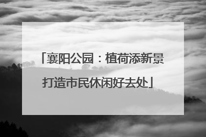襄阳公园：植荷添新景 打造市民休闲好去处