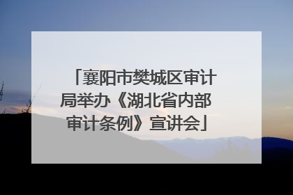 襄阳市樊城区审计局举办《湖北省内部审计条例》宣讲会