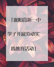 襄阳高新一中学子开展劳动实践教育活动