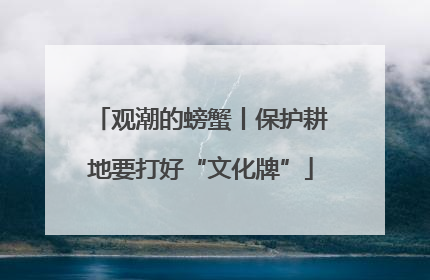 观潮的螃蟹丨保护耕地要打好“文化牌”