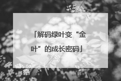 解码绿叶变“金叶”的成长密码