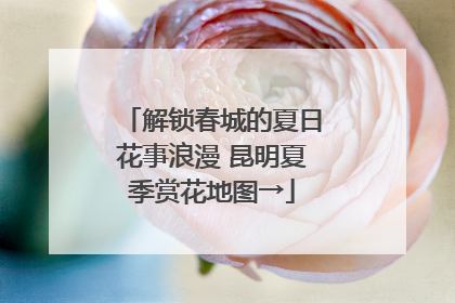 解锁春城的夏日花事浪漫 昆明夏季赏花地图→