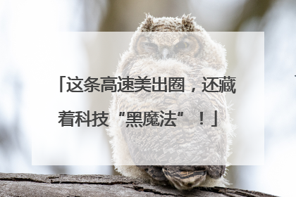 这条高速美出圈，还藏着科技“黑魔法”！