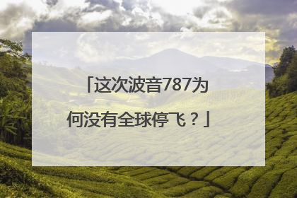 这次波音787为何没有全球停飞？