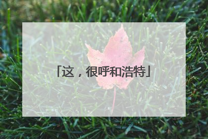 这，很呼和浩特