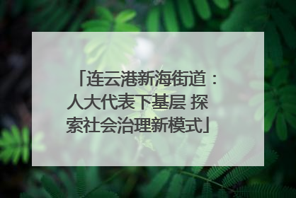 连云港新海街道：人大代表下基层 探索社会治理新模式