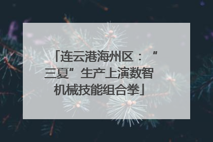 连云港海州区：“三夏”生产上演数智机械技能组合拳