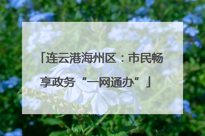 连云港海州区：市民畅享政务“一网通办”