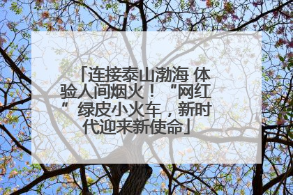 连接泰山渤海 体验人间烟火！“网红”绿皮小火车，新时代迎来新使命