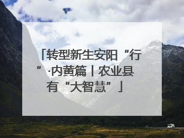 转型新生安阳“行”·内黄篇丨农业县有“大智慧”