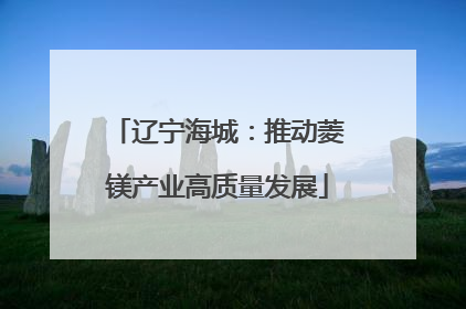 辽宁海城：推动菱镁产业高质量发展