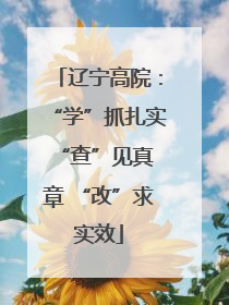 辽宁高院：“学”抓扎实 “查”见真章 “改”求实效