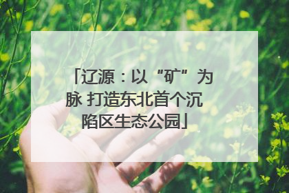 辽源：以“矿”为脉 打造东北首个沉陷区生态公园