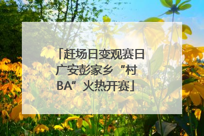 赶场日变观赛日 广安彭家乡“村BA”火热开赛