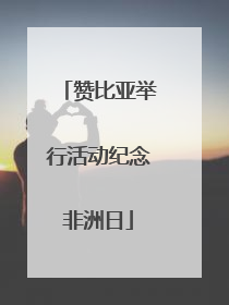 赞比亚举行活动纪念非洲日