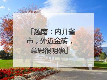 越南：内并省市，外近金砖，意思很明确