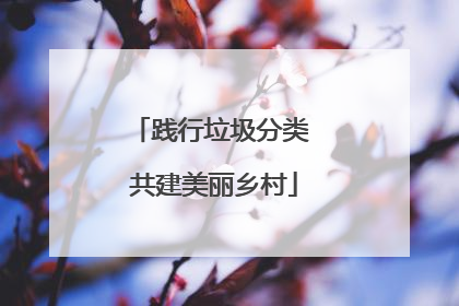 践行垃圾分类 共建美丽乡村
