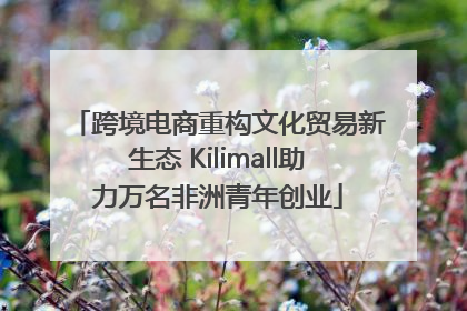 跨境电商重构文化贸易新生态 Kilimall助力万名非洲青年创业
