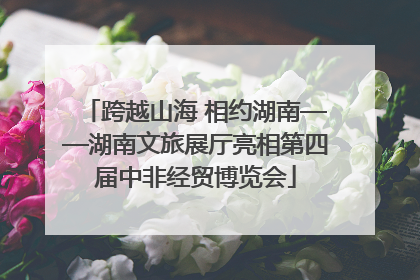 跨越山海 相约湖南——湖南文旅展厅亮相第四届中非经贸博览会