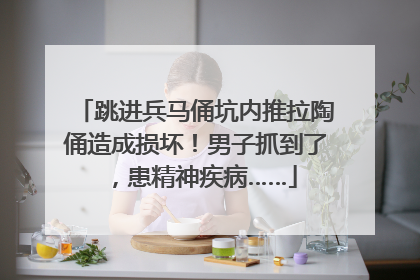 跳进兵马俑坑内推拉陶俑造成损坏！男子抓到了，患精神疾病……