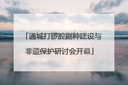 通城打锣腔剧种建设与非遗保护研讨会开幕