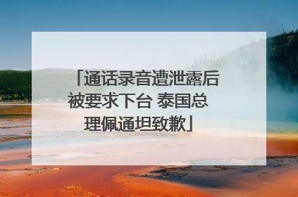 通话录音遭泄露后被要求下台 泰国总理佩通坦致歉