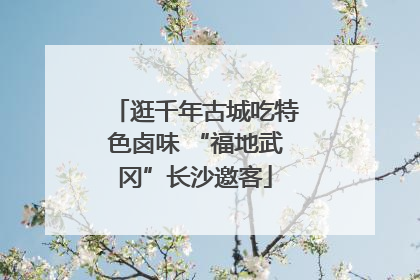 逛千年古城吃特色卤味 “福地武冈”长沙邀客