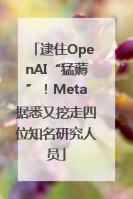 逮住OpenAI“猛薅”！Meta据悉又挖走四位知名研究人员