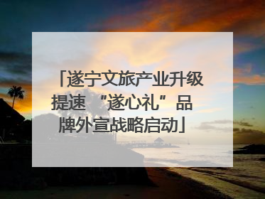 遂宁文旅产业升级提速 “遂心礼”品牌外宣战略启动