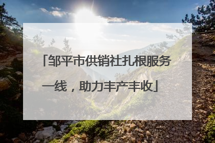 邹平市供销社扎根服务一线，助力丰产丰收