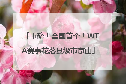 重磅！全国首个！WTA赛事花落县级市京山